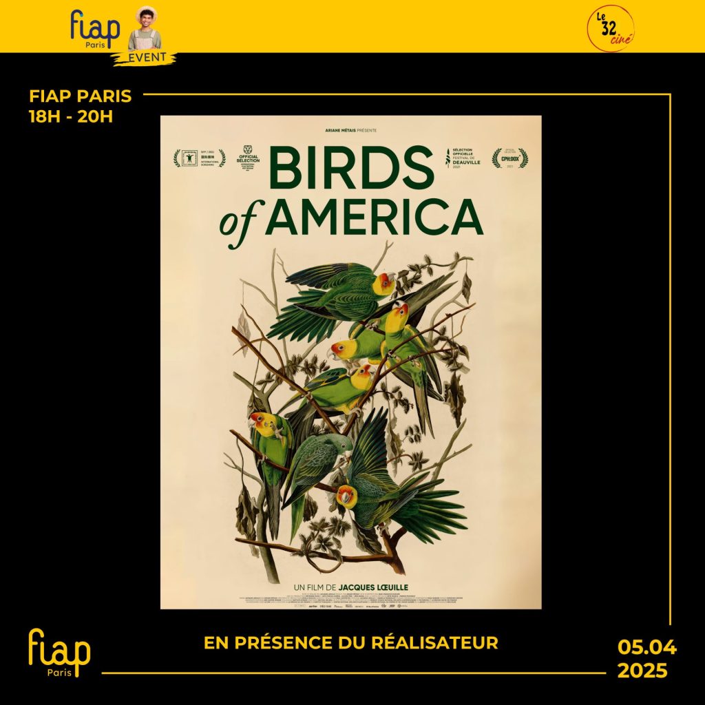 birds-of-america